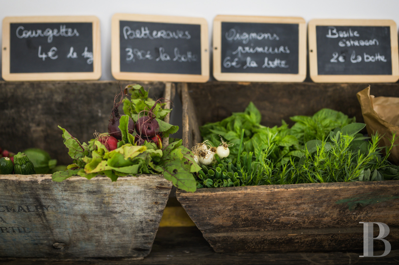 A chateau affiliated with Burgundy's greatest vineyards and permaculture to the south of Beaune - photo  n°41