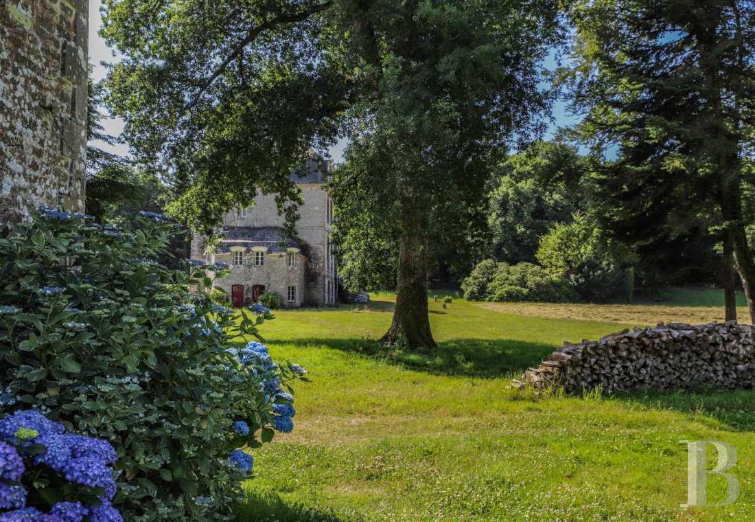 chateaux a vendre bretagne   - 22
