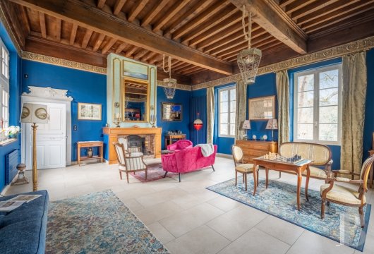 chateaux a vendre midi pyrenees   - 13