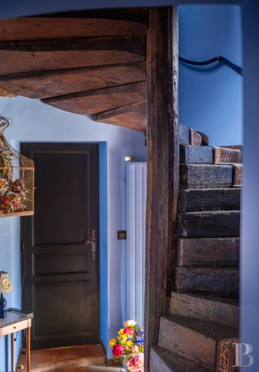 chateaux a vendre midi pyrenees   - 9