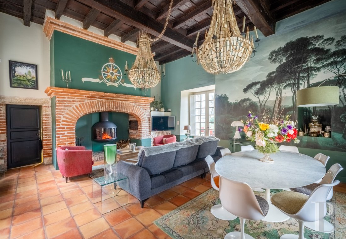 chateaux a vendre midi pyrenees   - 7