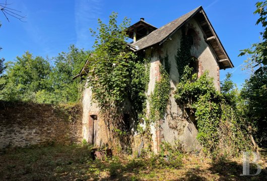 chateaux for sale France pays de loire   - 17