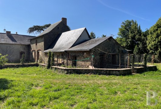 chateaux for sale France pays de loire   - 19
