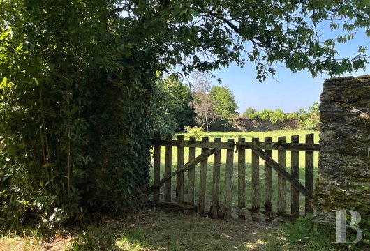 chateaux for sale France pays de loire   - 20