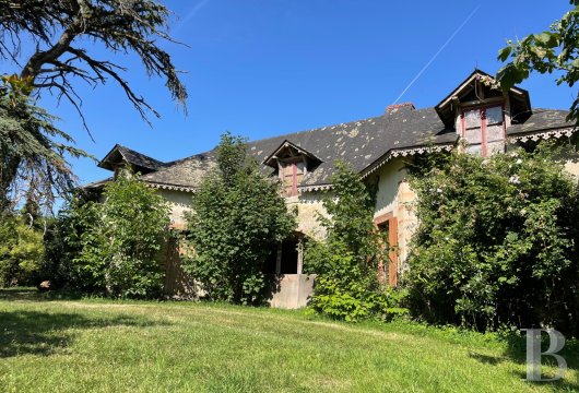 chateaux for sale France pays de loire   - 18