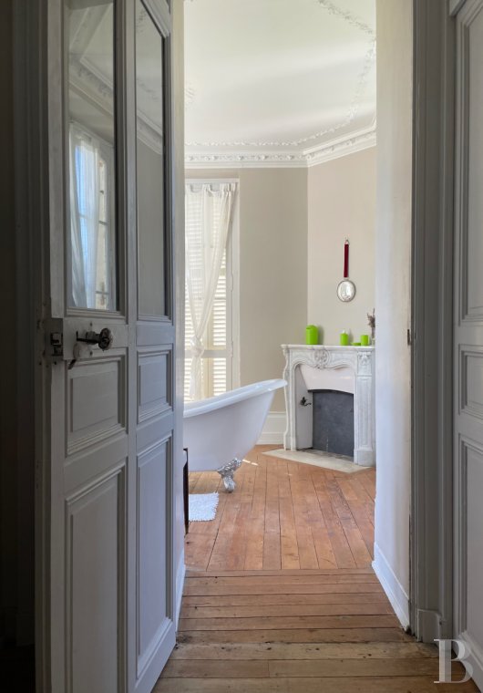 chateaux for sale France pays de loire   - 15