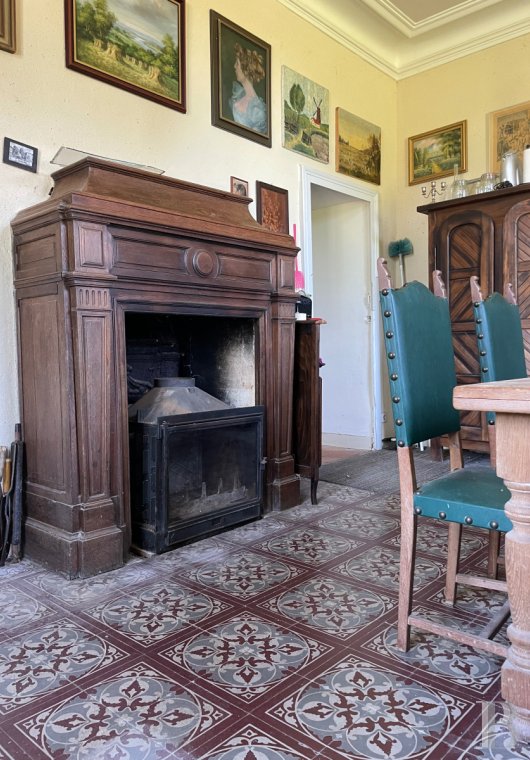 chateaux for sale France pays de loire   - 9