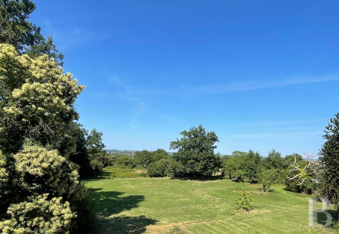 chateaux for sale France pays de loire   - 21