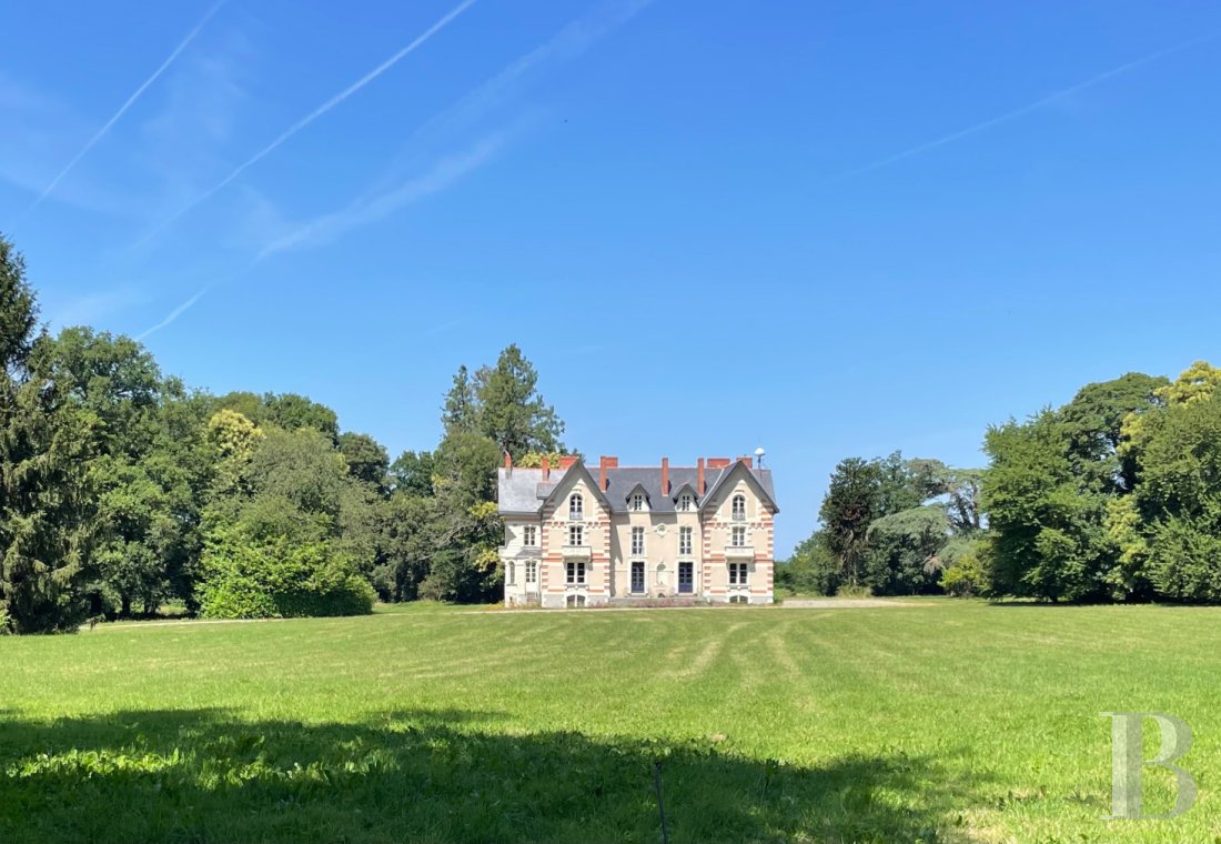 chateaux for sale France pays de loire   - 1