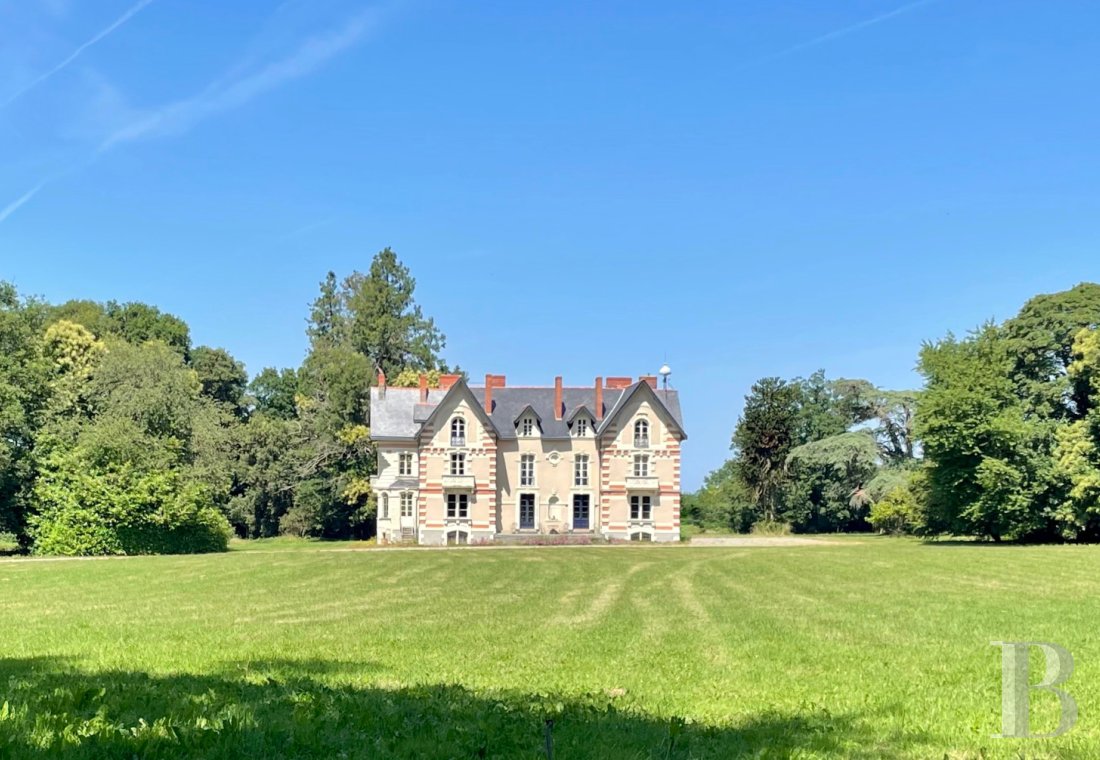 chateaux for sale France pays de loire   - 1