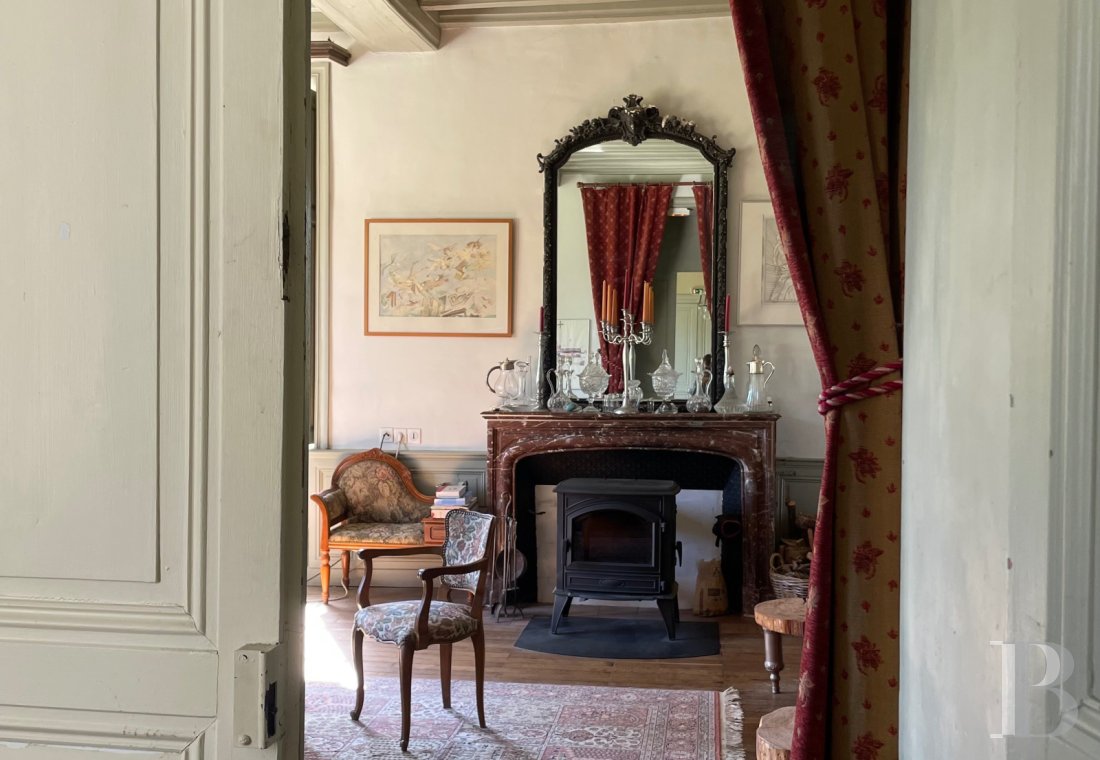 chateaux for sale France pays de loire   - 7