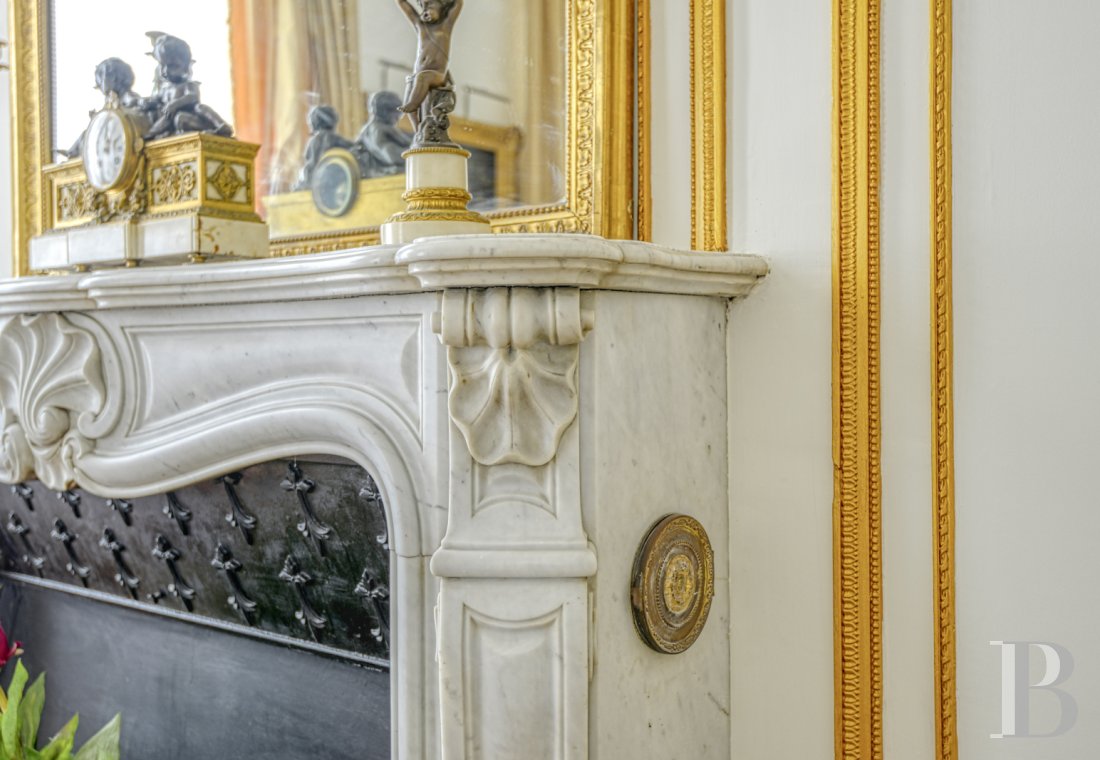 mansion houses for sale France pays de loire   - 1