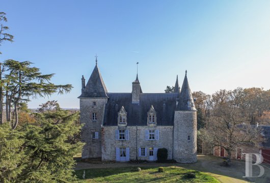 centre-val-de-loire - À deux heures de Paris, un château médiéval aux airs des 16e et 17e s.  et son parc boisé de 11 ha