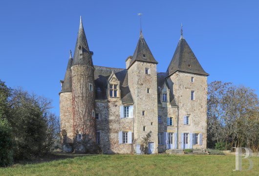 center-val-de-loire - A medieval castle, with 16th & 17th century airs,  and its 11 ha of wooded parklands, two hours from Paris