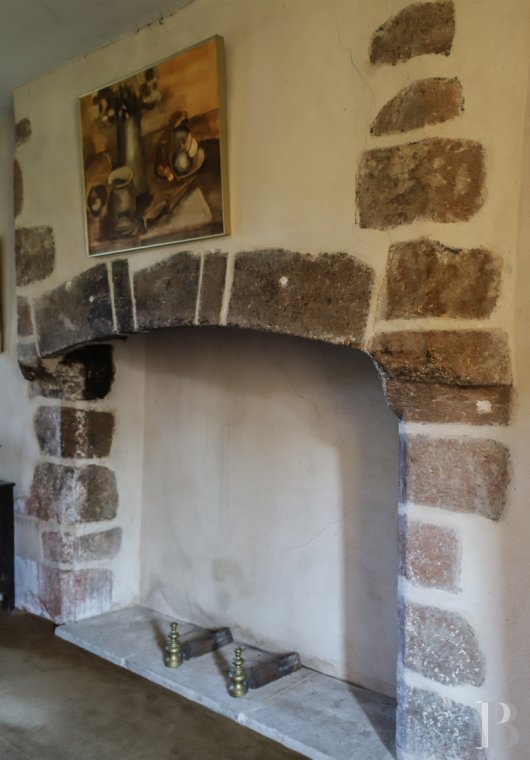 chateaux for sale France center val de loire   - 9