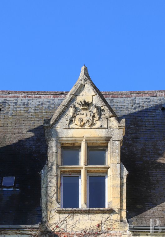 chateaux for sale France center val de loire   - 6