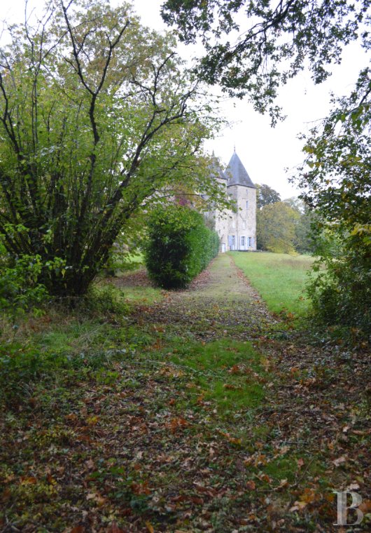 chateaux a vendre centre val de loire   - 5