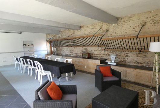 chateaux a vendre rhones alpes   - 18