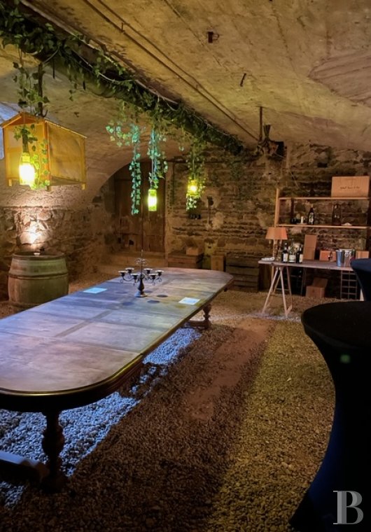 chateaux a vendre rhones alpes   - 11