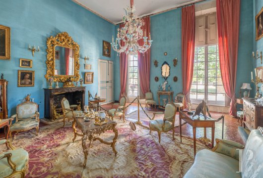 chateaux a vendre paca   - 17