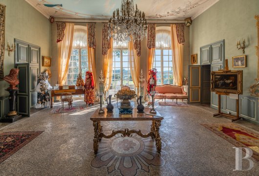 chateaux a vendre paca   - 9