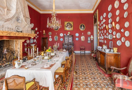 chateaux a vendre paca   - 11