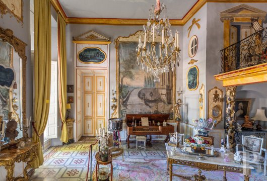 chateaux a vendre paca   - 12