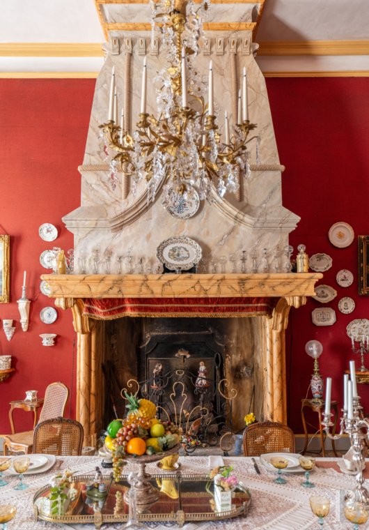 chateaux a vendre paca   - 8