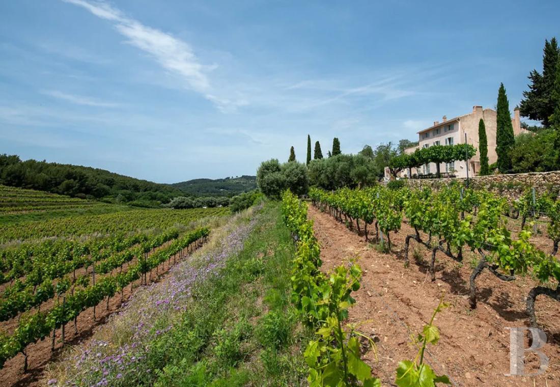 vignobles a vendre paca   - 22