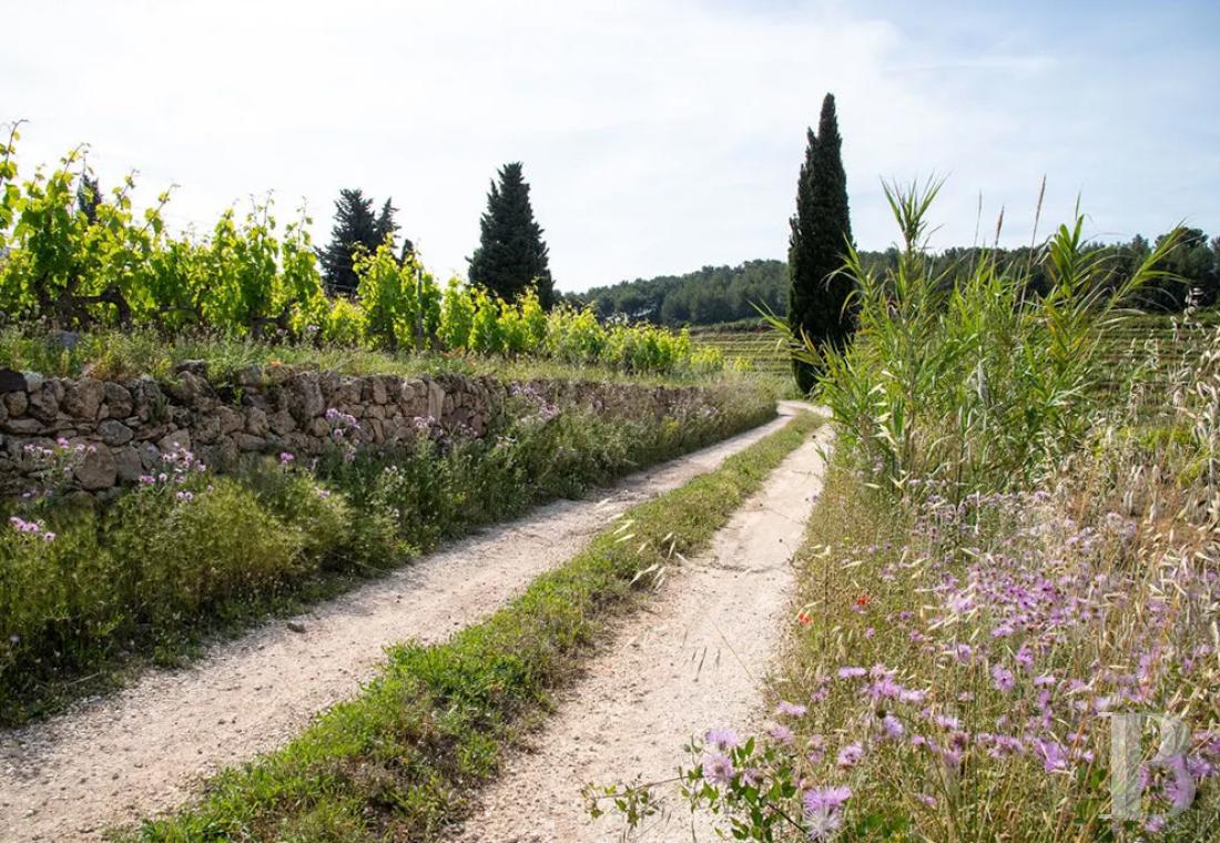 vignobles a vendre paca   - 21