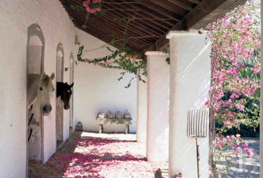 A former «cortijo» dedicated to holidays in Andalusia in the south of Spain - photo  n°10