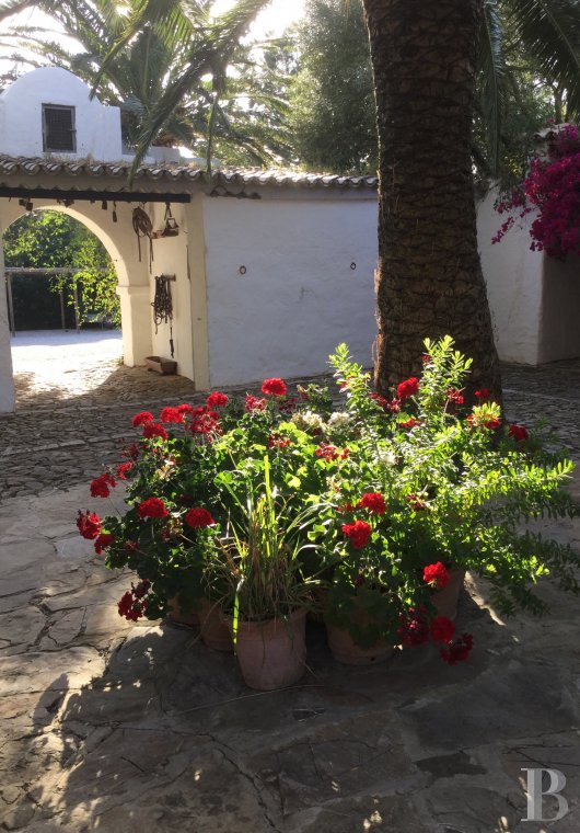 A former «cortijo» dedicated to holidays in Andalusia in the south of Spain - photo  n°7