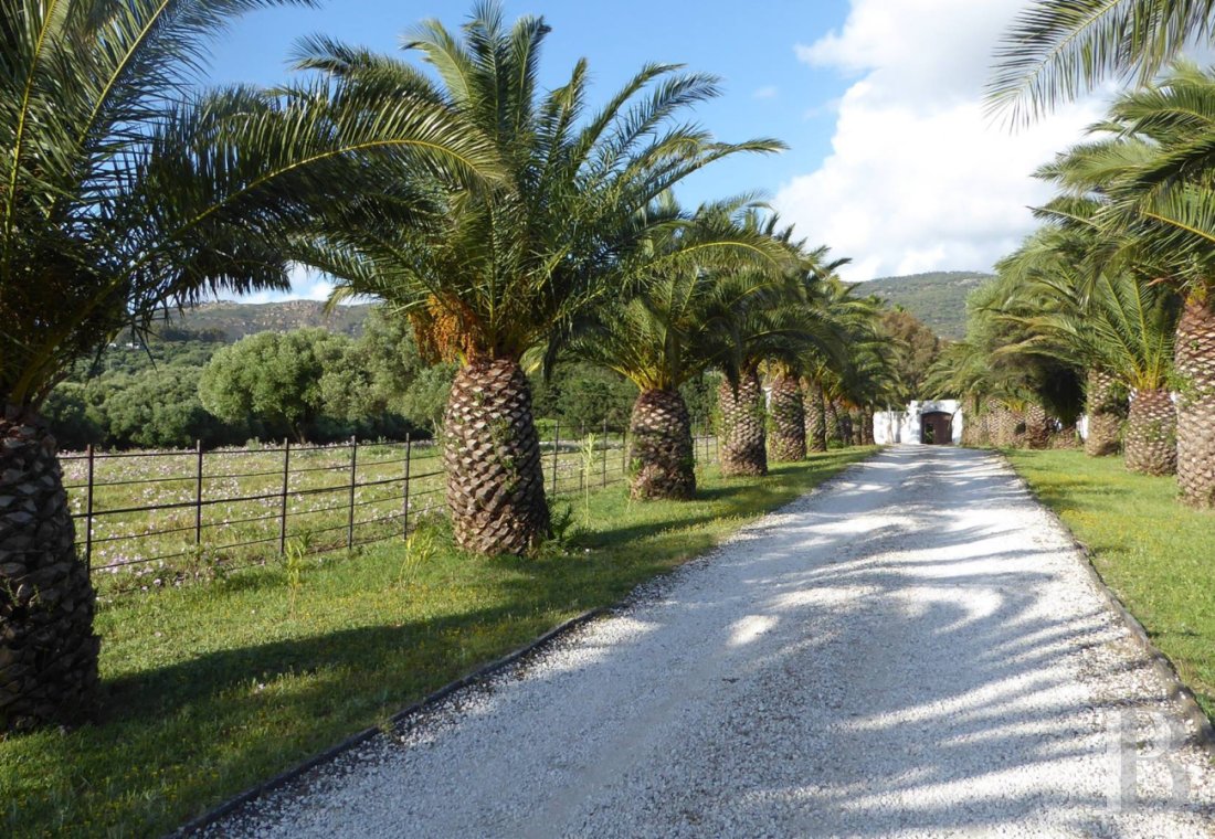A former «cortijo» dedicated to holidays in Andalusia in the south of Spain - photo  n°28