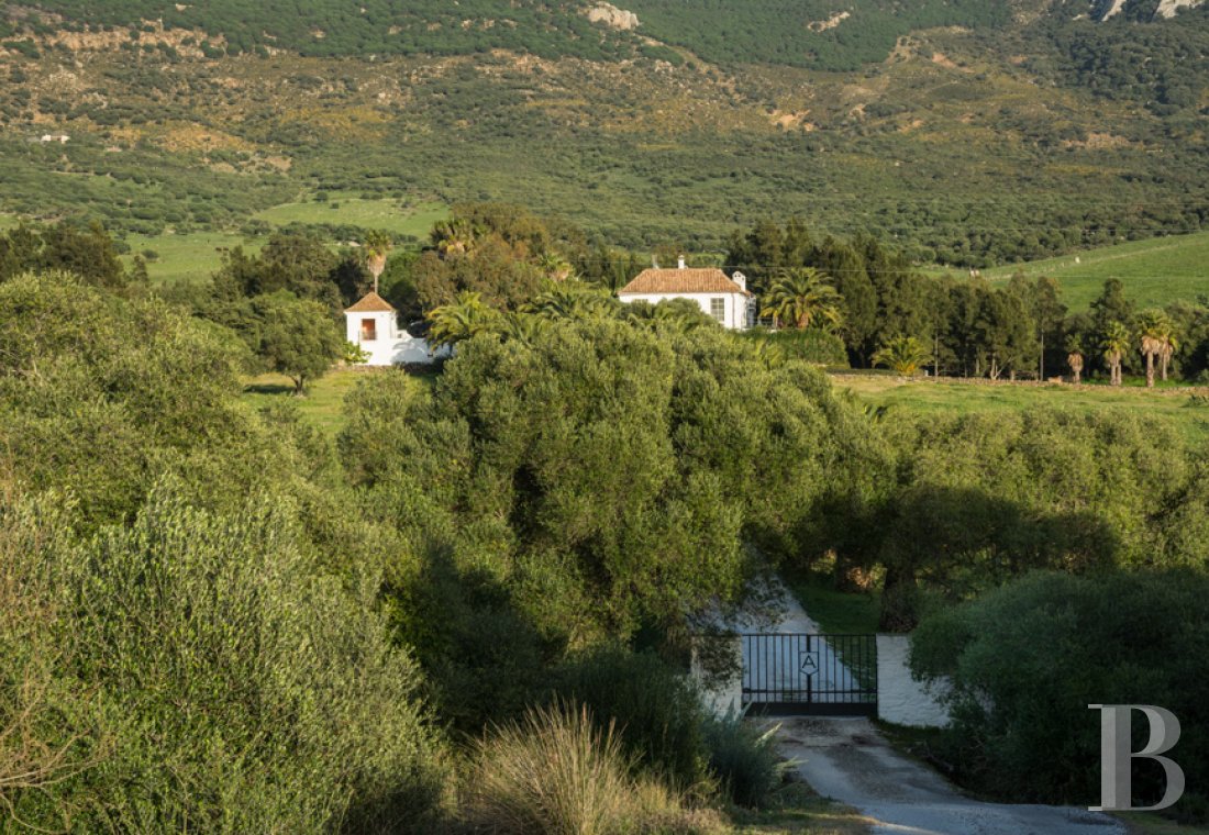 A former «cortijo» dedicated to holidays in Andalusia in the south of Spain - photo  n°4