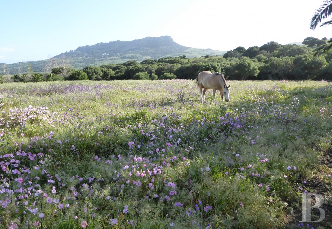 A former «cortijo» dedicated to holidays in Andalusia in the south of Spain - photo  n°31