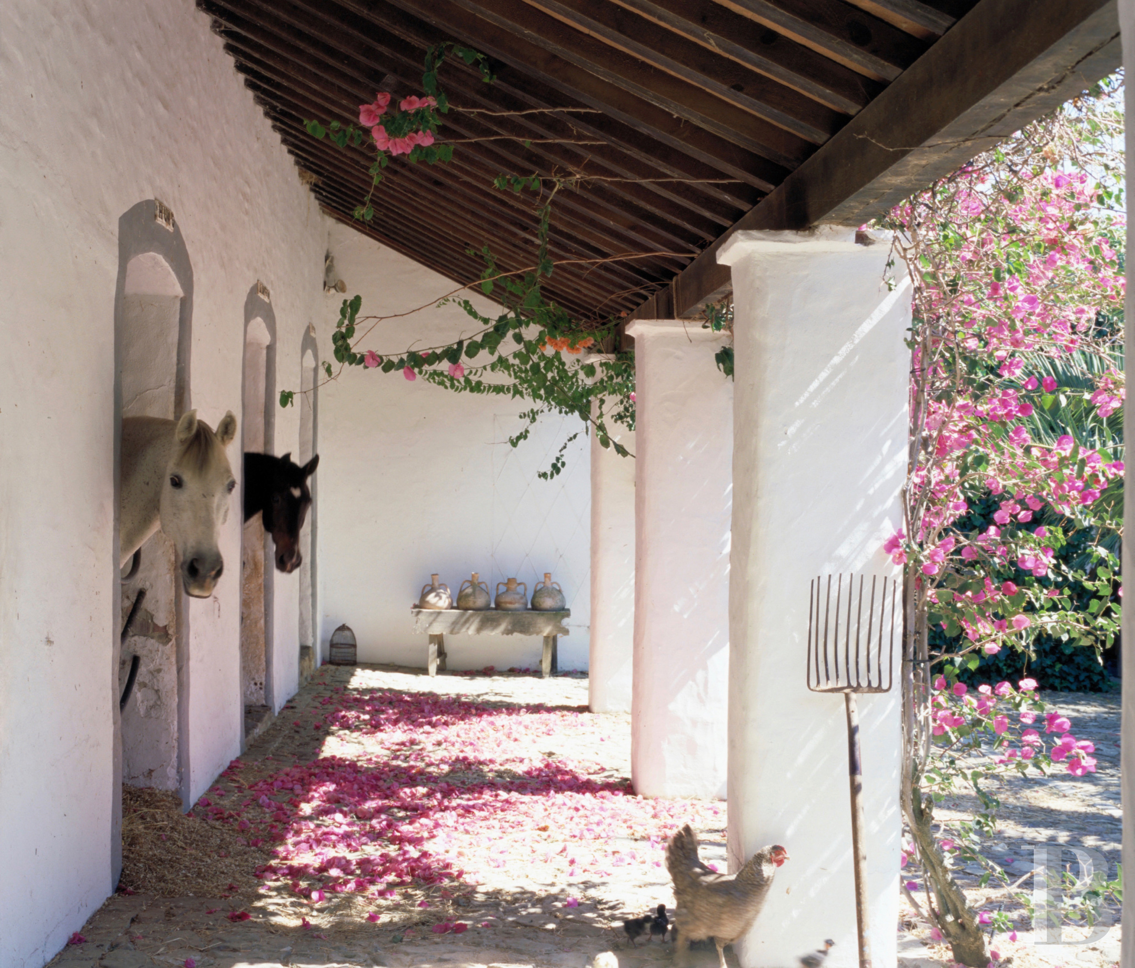 Dans le sud de l’Espagne, en Andalousie, un ancien « cortijo » dédié à la villégiature - photo  n°15
