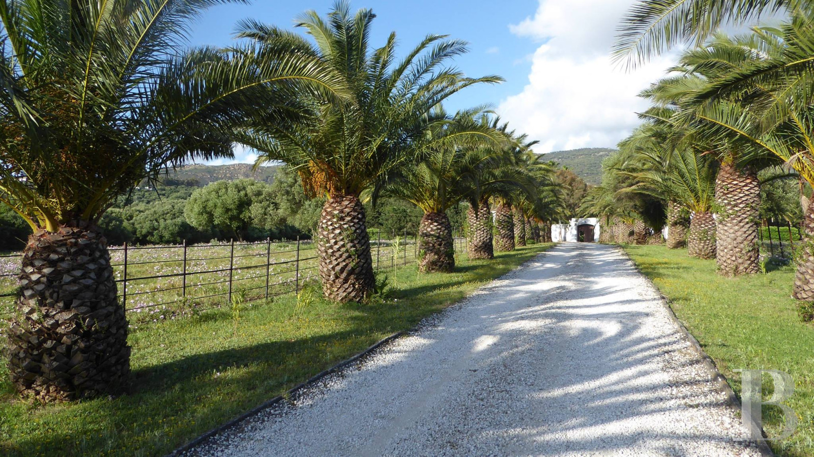 Dans le sud de l’Espagne, en Andalousie, un ancien « cortijo » dédié à la villégiature - photo  n°33