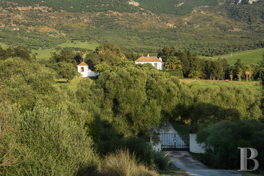 Dans le sud de l’Espagne, en Andalousie, un ancien « cortijo » dédié à la villégiature - photo  n°9
