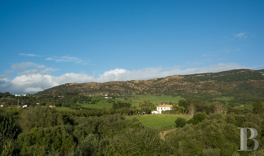 Dans le sud de l’Espagne, en Andalousie, un ancien « cortijo » dédié à la villégiature - photo  n°34
