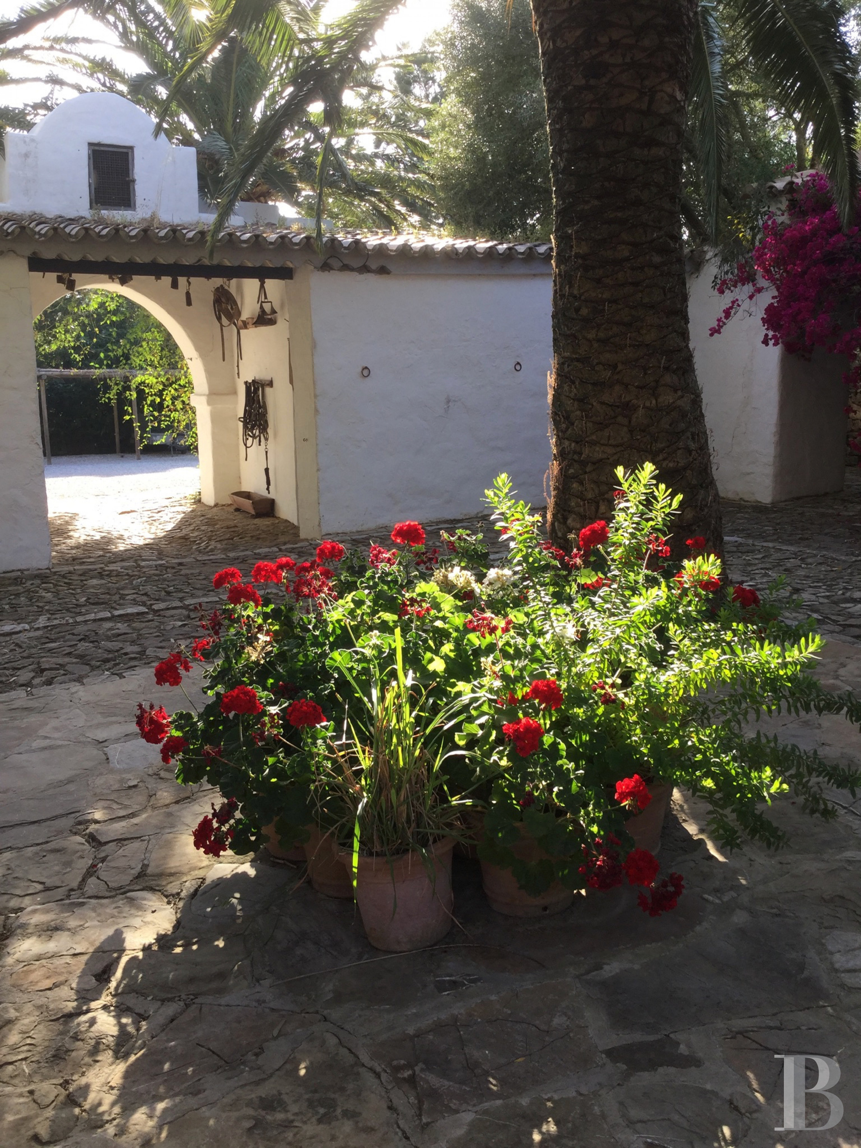 Dans le sud de l’Espagne, en Andalousie, un ancien « cortijo » dédié à la villégiature - photo  n°11