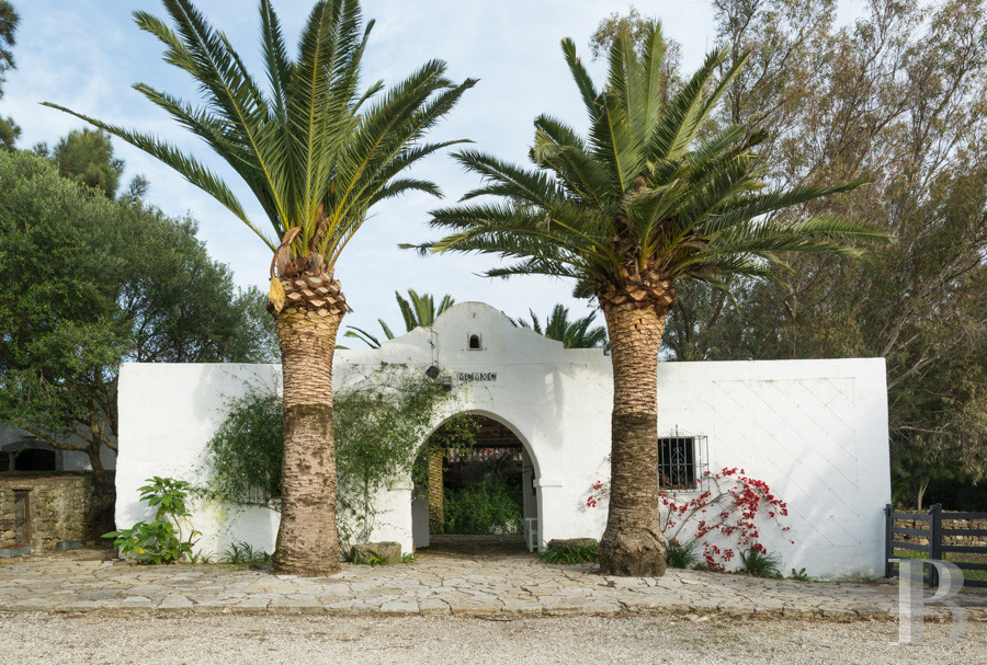 Dans le sud de l’Espagne, en Andalousie, un ancien « cortijo » dédié à la villégiature - photo  n°5