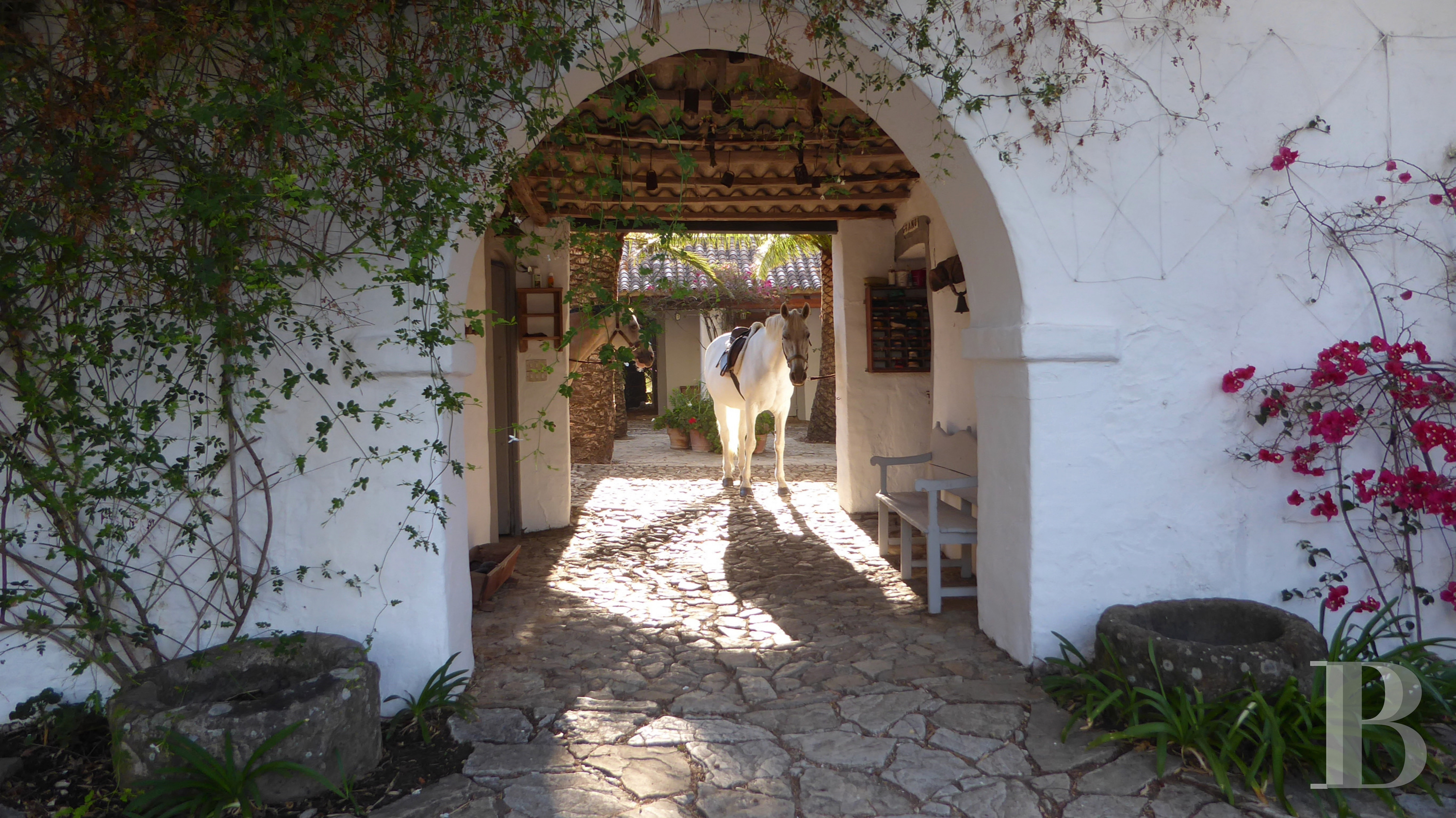 Dans le sud de l’Espagne, en Andalousie, un ancien « cortijo » dédié à la villégiature - photo  n°16
