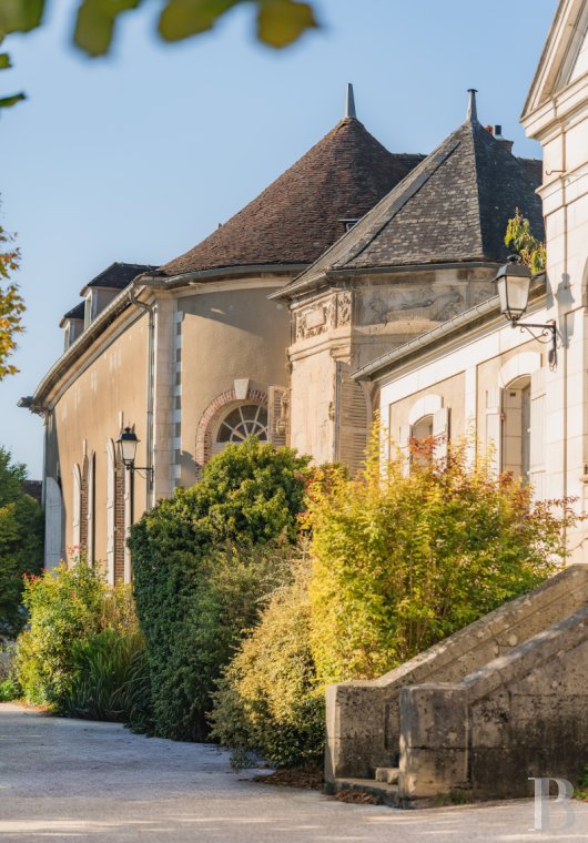 castles for sale France burgundy   - 3