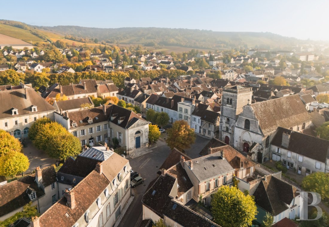 castles for sale France burgundy   - 20