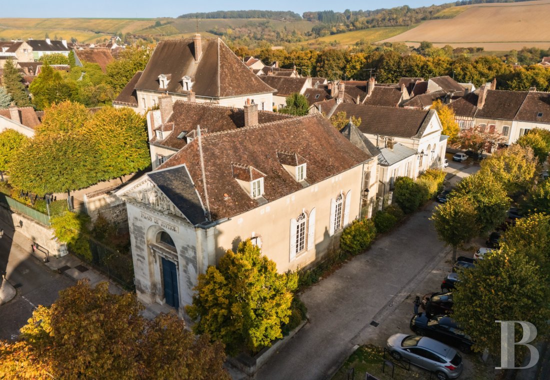 castles for sale France burgundy   - 5