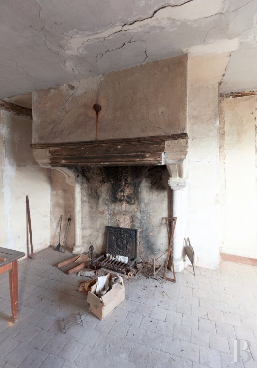 castles for sale France burgundy   - 6