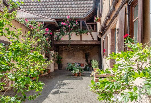 maisons de caractere a vendre alsace   - 4