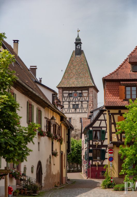 maisons de caractere a vendre alsace   - 15