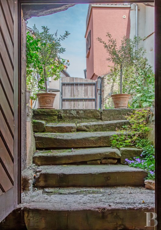 maisons de caractere a vendre alsace   - 13