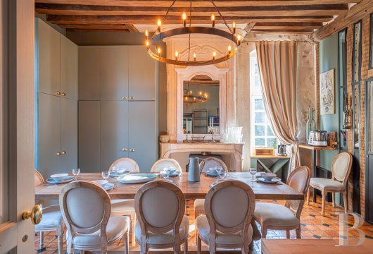 France mansions for sale pays de loire   - 8